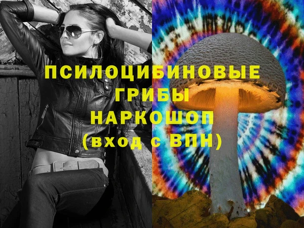 стаф Гусев