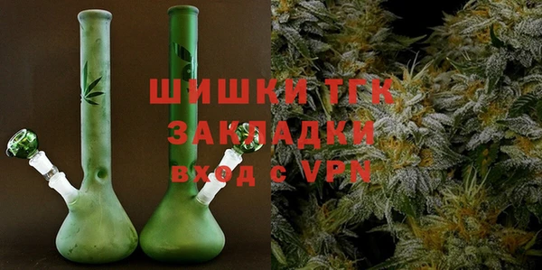 стаф Гусев