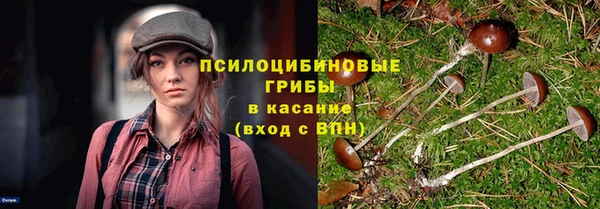 стаф Гусев