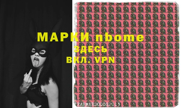стаф Гусев