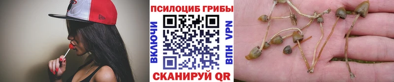 Купить где  Завитинск  Галлюциногенные грибы мухоморы 